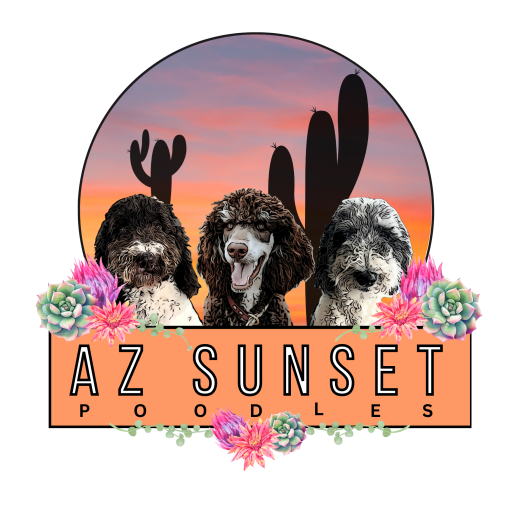 AZ Sunset Poodles logo